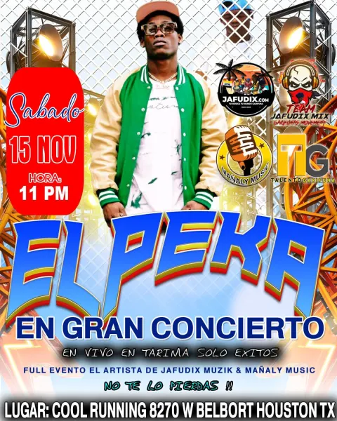 EL PEKA JAFUDIX AUDIO PARTY PROMO